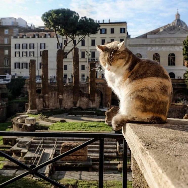 Ancient Roman Mansion Luaran gambar